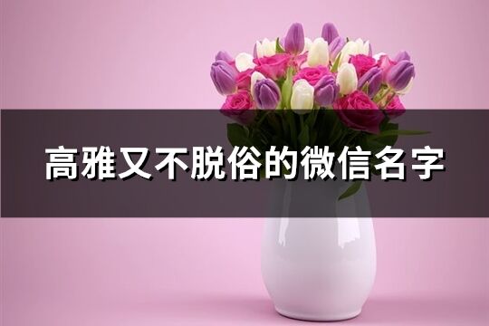 高雅又不脫俗的微信名字(優選468個)