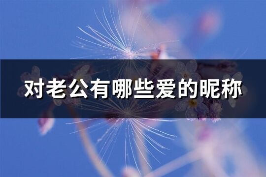 對老公有哪些愛的昵稱(精選64個)