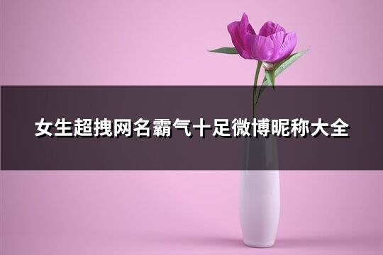 女生超拽網名霸氣十足微博昵稱大全(優選248個)