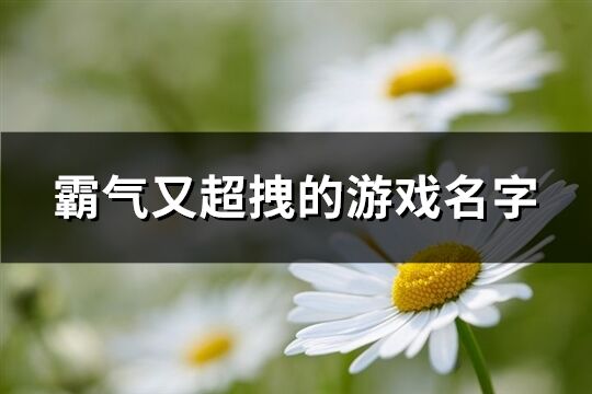 霸氣又超拽的游戲名字(優選539個)