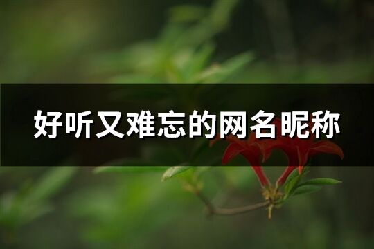 好聽又難忘的網(wǎng)名昵稱(745個)