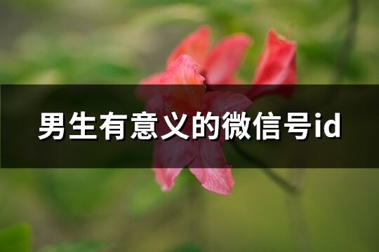 男生有意義的微信號id(優選228個)