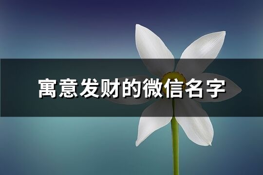 寓意發財的微信名字(546個)
