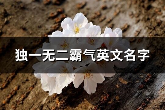 獨一無二霸氣英文名字(精選181個)