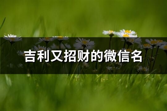 吉利又招財的微信名(308個)