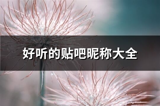 好聽的貼吧昵稱大全(112個(gè))