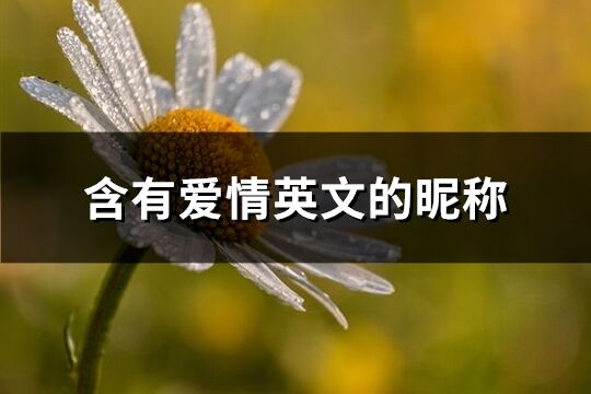 含有愛(ài)情英文的昵稱(優(yōu)選98個(gè))