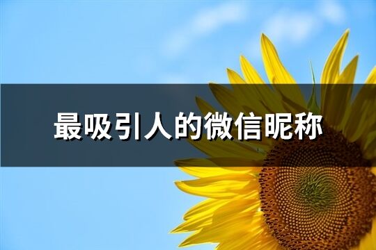 最吸引人的微信昵稱(501個)