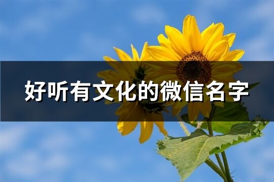 好聽有文化的微信名字(精選643個)