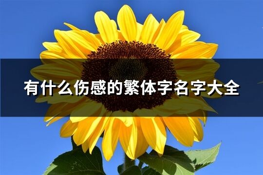 有什么傷感的繁體字名字大全(精選313個(gè))