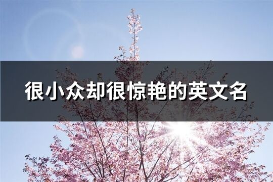 很小眾卻很驚艷的英文名(140個)