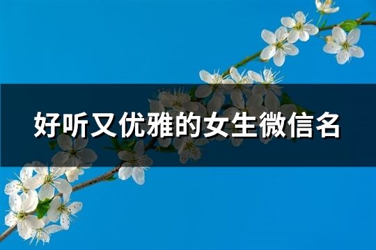 好聽又優雅的女生微信名(1059個)