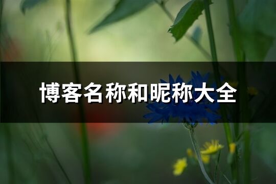 博客名稱和昵稱大全(共586個)