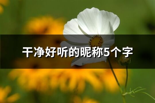 干凈好聽的昵稱5個字(共548個)