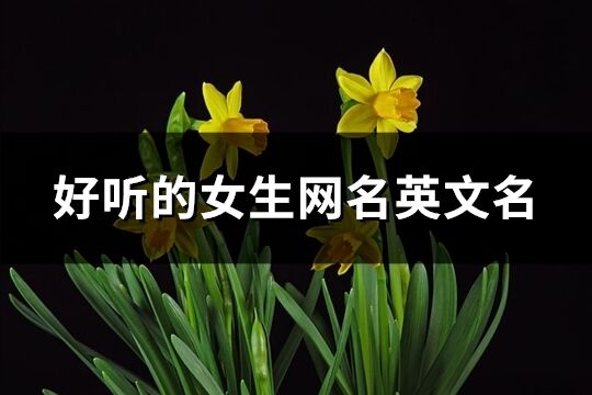 好聽的女生網(wǎng)名英文名(共175個(gè))