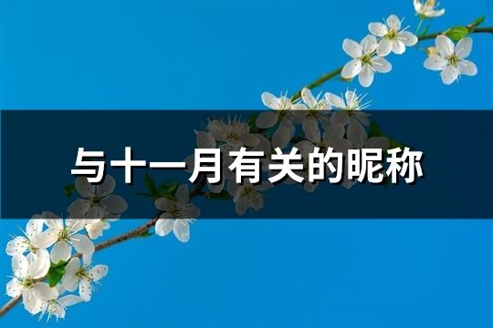 與十一月有關(guān)的昵稱(共91個(gè))