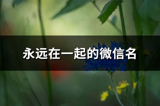 永遠在一起的微信名(86個)