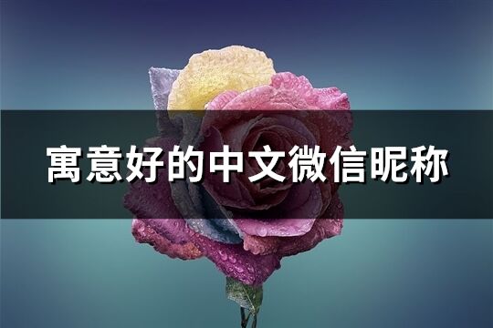 寓意好的中文微信昵稱(655個)