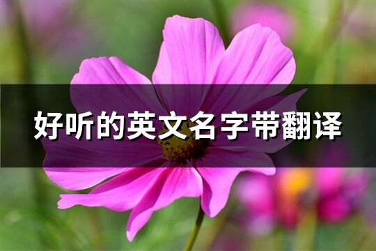 好聽的英文名字帶翻譯(優(yōu)選200個)