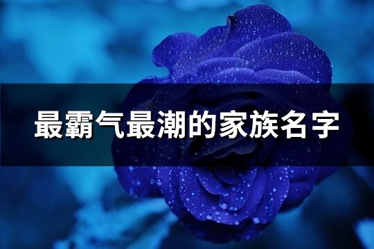 最霸氣最潮的家族名字(優選329個)