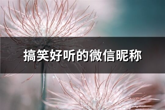 搞笑好聽的微信昵稱(191個)