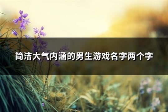 簡潔大氣內涵的男生游戲名字兩個字(精選846個)
