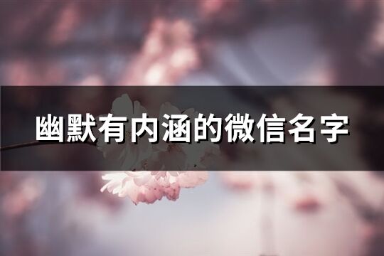 幽默有內(nèi)涵的微信名字(優(yōu)選798個)