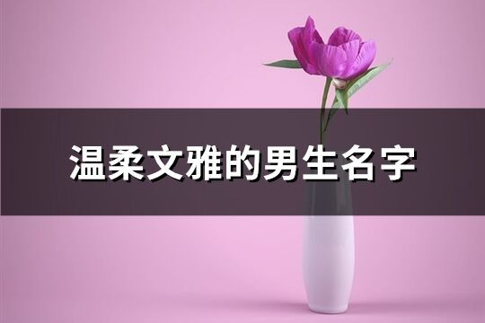 溫柔文雅的男生名字(精選64個(gè))