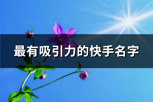 最有吸引力的快手名字(799個)