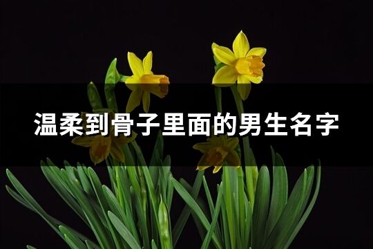 溫柔到骨子里面的男生名字(共251個(gè))
