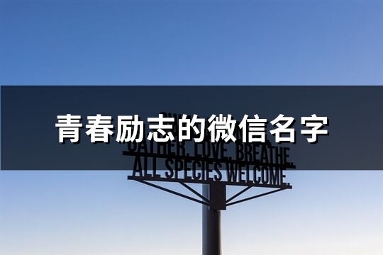 青春勵志的微信名字(精選202個)