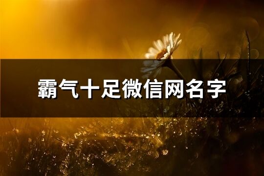 霸氣十足微信網(wǎng)名字(共323個)