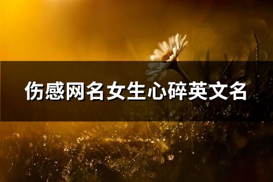 傷感網(wǎng)名女生心碎英文名(共142個(gè))