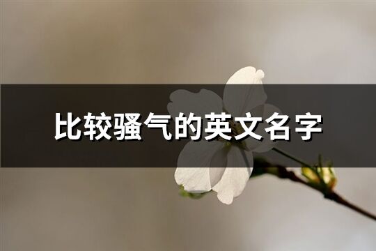 比較騷氣的英文名字(77個)