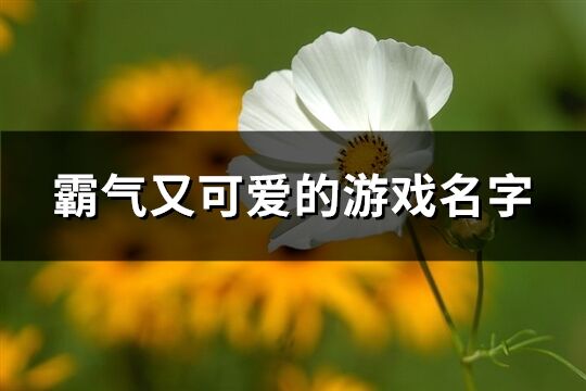霸氣又可愛的游戲名字(共156個)