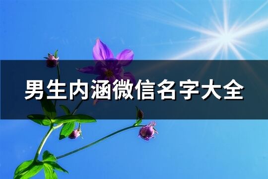 男生內(nèi)涵微信名字大全(精選778個)