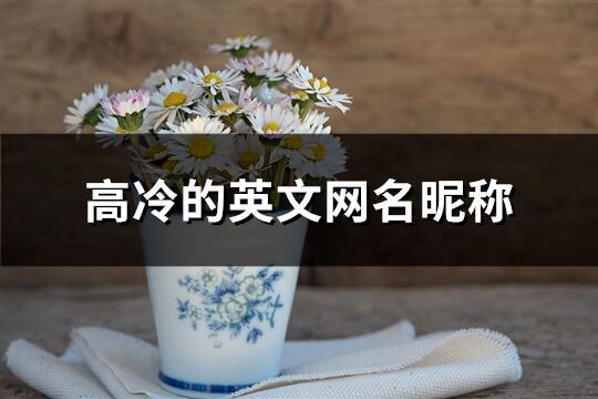 高冷的英文網(wǎng)名昵稱(精選114個(gè))
