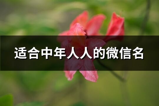 適合中年人人的微信名(489個)