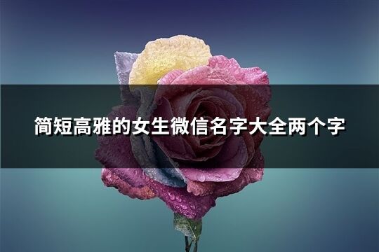 簡(jiǎn)短高雅的女生微信名字大全兩個(gè)字(1510個(gè))