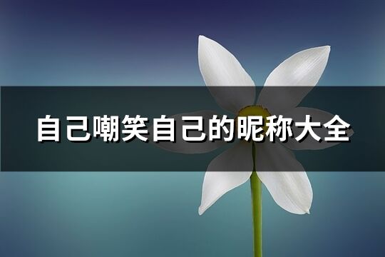 自己嘲笑自己的昵稱大全(精選200個)