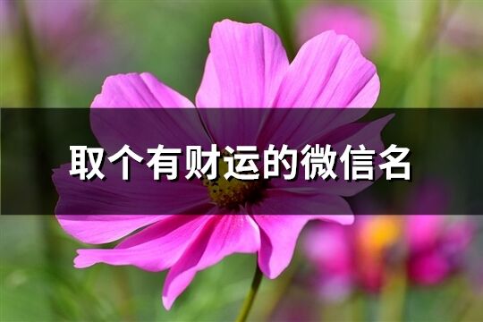 取個(gè)有財(cái)運(yùn)的微信名(精選509個(gè))
