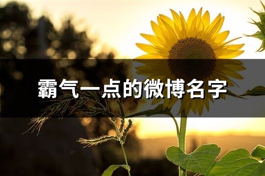 霸氣一點的微博名字(精選318個)