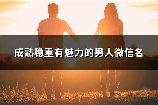 成熟穩(wěn)重有魅力的男人微信名(共785個(gè))