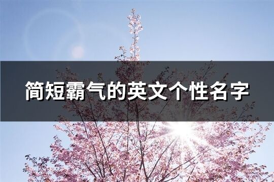 簡短霸氣的英文個性名字(精選92個)