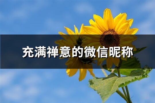 充滿禪意的微信昵稱(共75個)