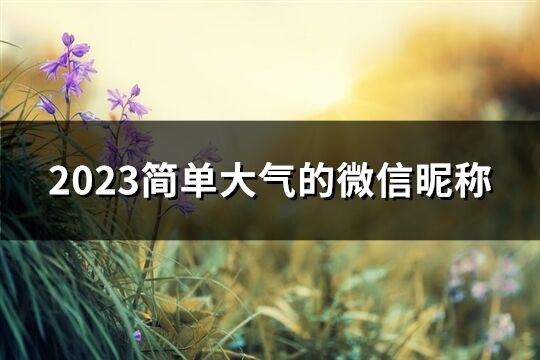 2023簡單大氣的微信昵稱(精選624個)