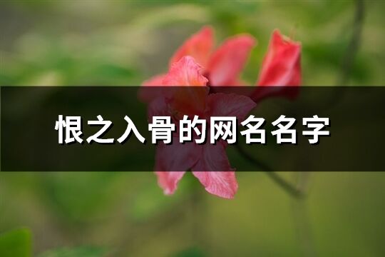 恨之入骨的網名名字(優選65個)