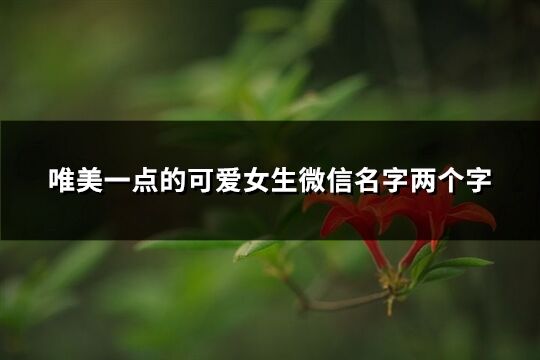 唯美一點的可愛女生微信名字兩個字(優(yōu)選483個)