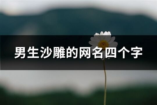 男生沙雕的網名四個字(精選608個)