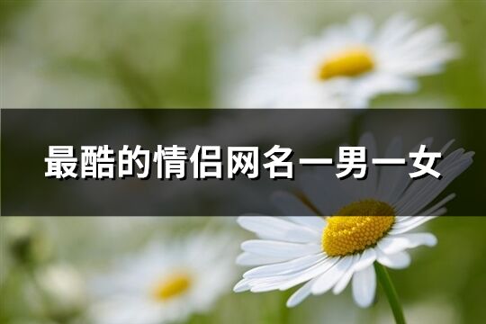 最酷的情侶網名一男一女(76個)